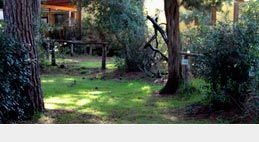 HOTEL MARE TOSCANA
